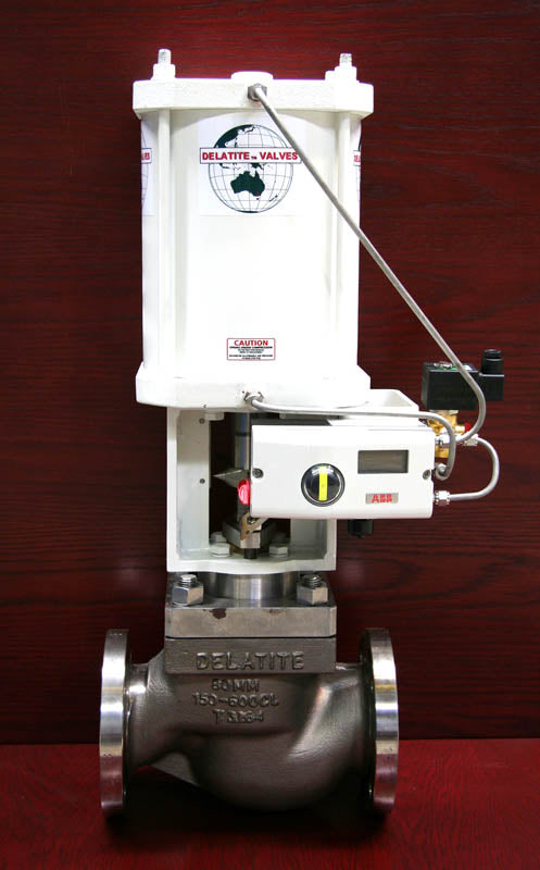 Delatite Globe Style Control Valve