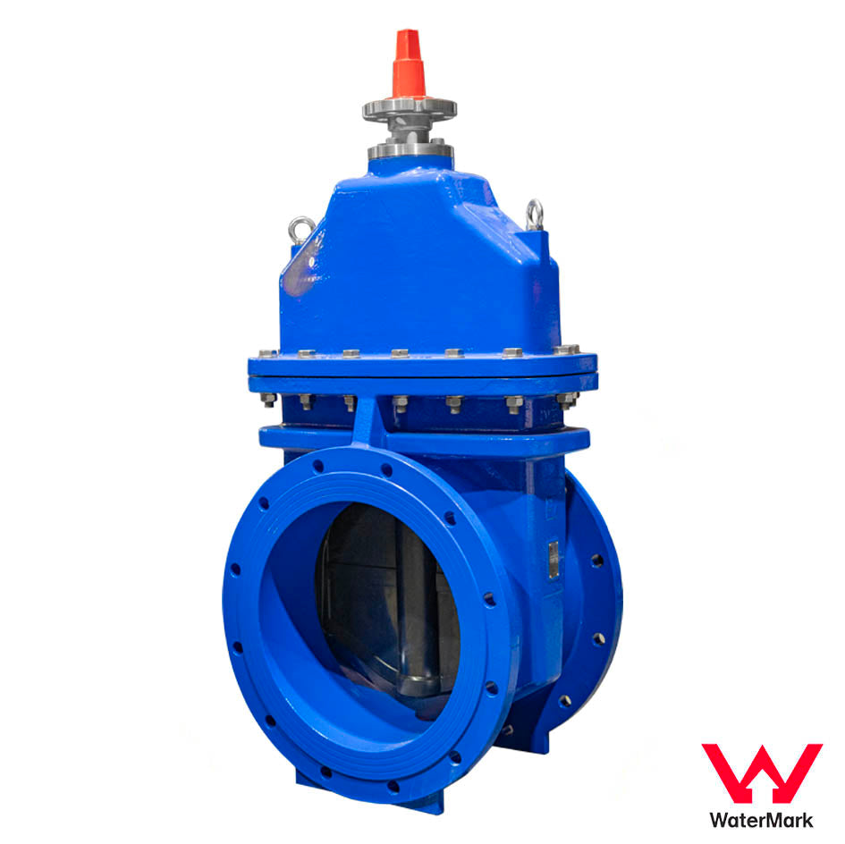 Gate Valve GVR Challenger Valves